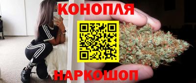 стаф Будённовск