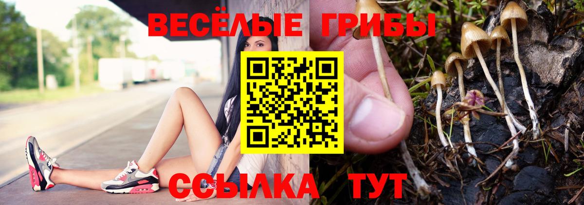 Галлюциногенные грибы прущие грибы Химки